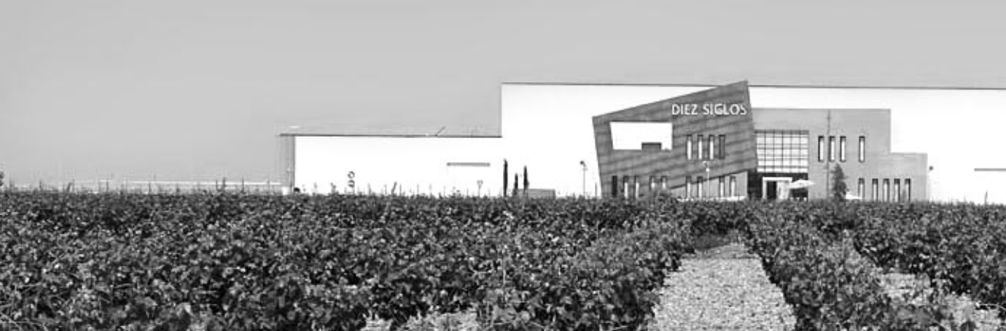 wineroots logo