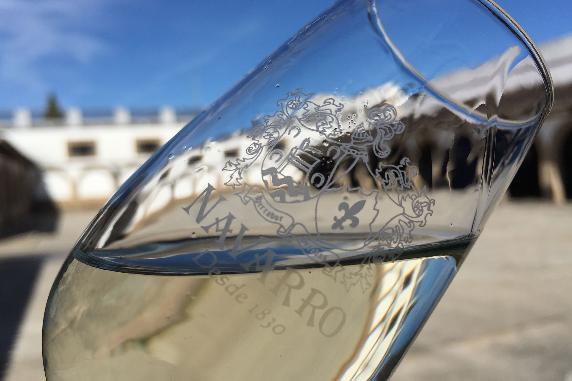 wineroots logo