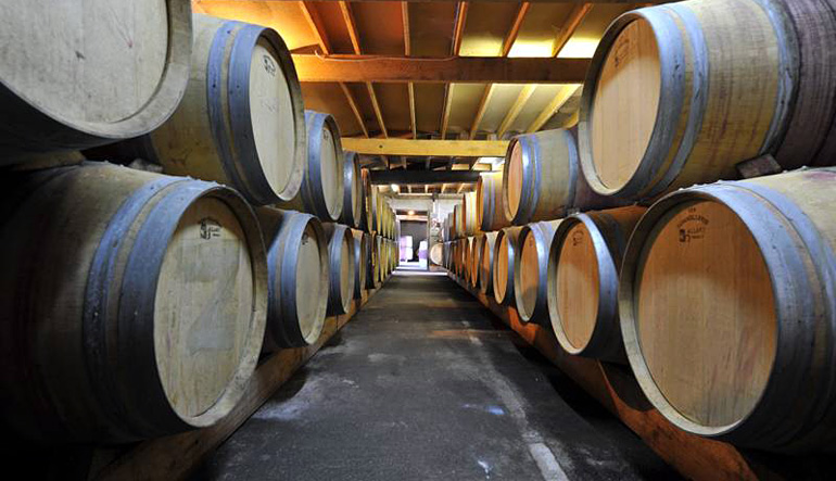 wineroots logo